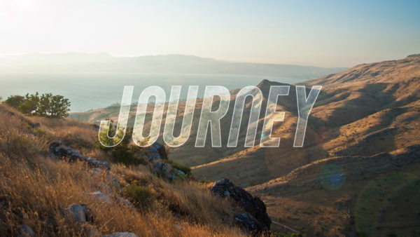 Journey: Born Again Image