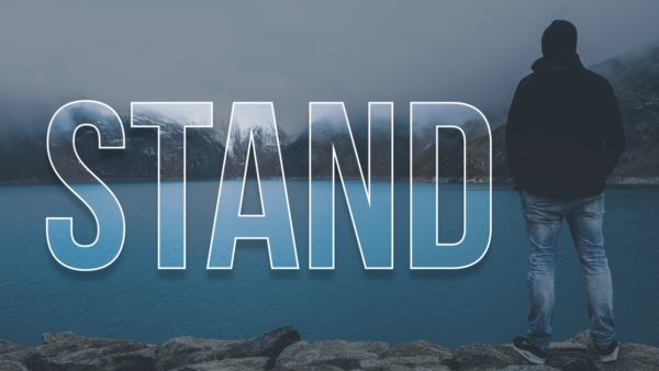 Stand: Standing Firm in the Fire Image