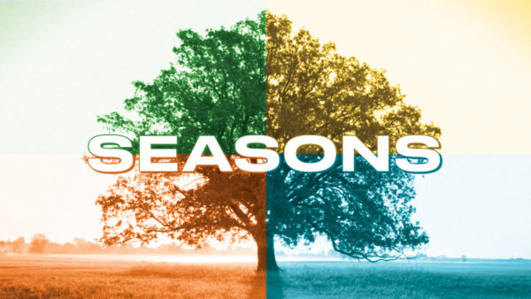 Seasons: Senior Years Image