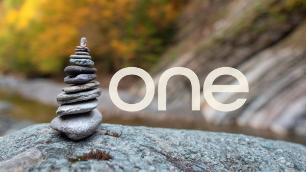 One: One Life Image
